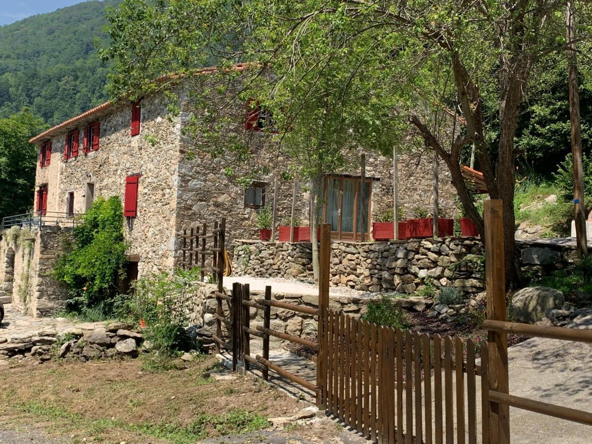 Mas Graffouil Apartamento Prats-de-Mollo-la-Preste Exterior foto