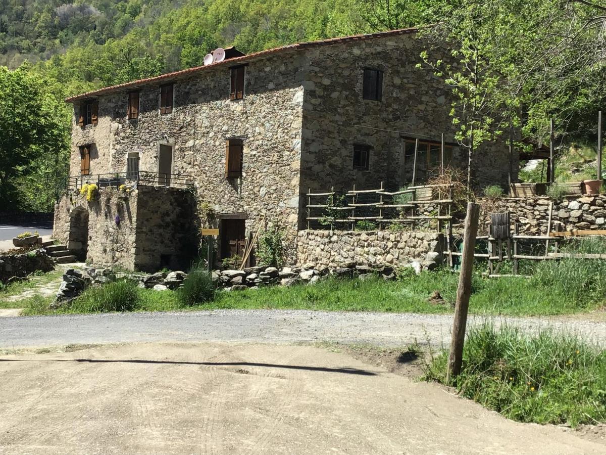 Mas Graffouil Apartamento Prats-de-Mollo-la-Preste Exterior foto